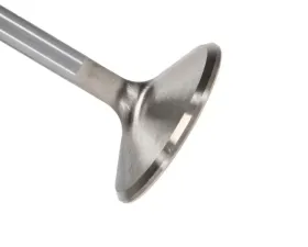 Manley Valve - Exhaust, Valve-GEN II 2.000