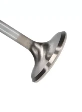 Manley Valve - Exhaust, Valve-S/D 1.600,+.100                                     - 11235-1 - Image 2