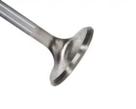 Manley Valve - Exhaust, Valve-R/M 1.600,+.100