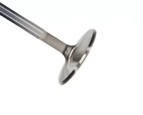 Manley Valve - Intake, Valve-PONT R/F 2.110