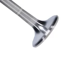 Manley Valve - Exhaust, Valve-TI 1.625,+.600