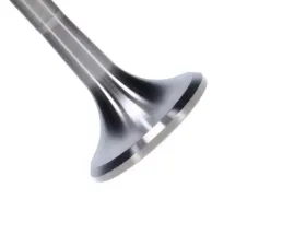 Manley Valve - Exhaust, Valve-TI 1.600,+.200