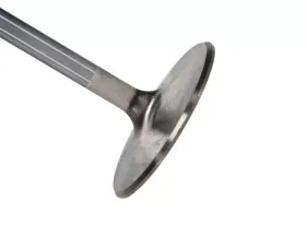 Manley Valve - Intake, Valve-BBC PONT 2.400