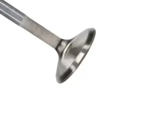 Manley Valve - Intake, Valve-DURAMAX 6.6L R/F 1.338