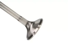 Manley Valve - Exhaust, Valve-DURAMAX 6.6L E/D 1.300