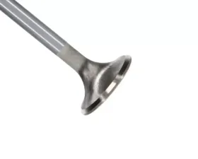 Manley Valve - Exhaust, Valve-FD MOD R/M 30mm