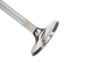 Manley Valve - Intake, Valve-FD MOD R/M 37mm