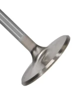 Manley Valve - Intake, Valve-FD MOD R/M 45.5mm                                     - 11640-1 - Image 2