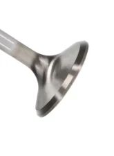 Manley Valve - Exhaust, Valve-HEMI 6.1 R/M 1.595                                     - 11669-1 - Image 2