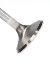 Manley Valve - Exhaust, Valve-LS-1 S/D 1.550                                     - 11673-1 - Image 2