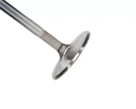 Manley Valve - Intake, Valve-LS-1 P/F 2.055