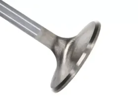 Manley Valve - Exhaust, Valve-BBC E/D 1.900