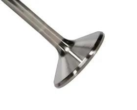 Manley Valve - Exhaust, Valve-TI M&M 1.600, 6.070