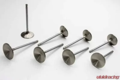 Manley Intake Valves SBM R/M 2.020in - 11782-8