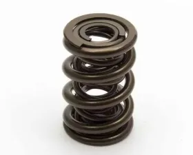 Manley 1.324 NexTek Dual Valve Springs