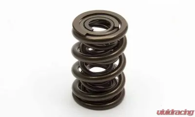 Manley 1.324 NexTek Dual Valve Springs - 221421-16