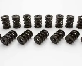 Manley 1.610 NexTek Dual Valve Springs