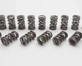 Manley 1.550 NexTek Dual Valve Springs