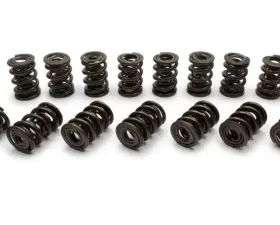 Manley 1.522 NexTek Dual Valve Springs