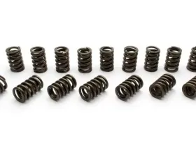 Manley 1.437 Street Master Dual Valve Springs