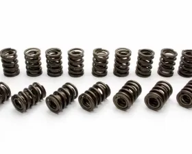 Manley 1.437 Street Master Dual Valve Springs