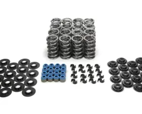 Manley 1.295 LS Spring Kit w/Steel Retainers Chevy