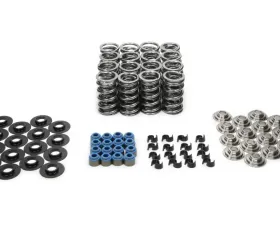 Manley 1.295 LS Spring Kit w/Ti-Retainers Chevy
