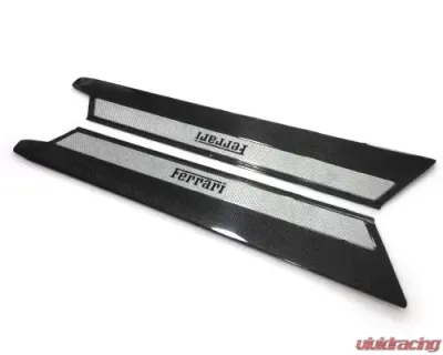 R-Tuned Carbon Fiber OEM Style Door Steps Ferrari 348 89-95 - RTFE021DS348