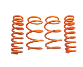 ARK GT-F Lowering Springs BMW 3-Series F30 | 4-Series F32 2012-2016