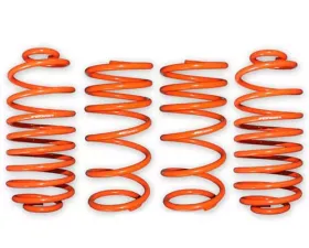 ARK GT-F Lowering Springs Chevrolet Cobalt 2005-2010