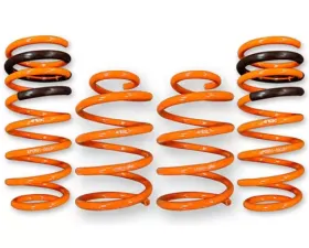 ARK GT-F Lowering Springs Honda S2000 2000-2009