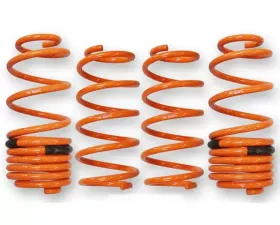 ARK GT-F Lowering Springs Honda CR-Z 2011-2013