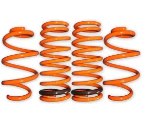 ARK GT-F Lowering Springs Honda Fit GD3 (USA Model) 2007-2008