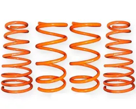 ARK GT-F Lowering Springs Hyundai Tiburon 2003-2008