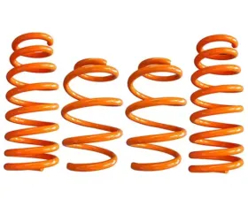 ARK GT-F Lowering Springs Hyundai Genesis Coupe 2010-2013