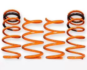 ARK GT-F Lowering Springs Hyundai Veloster 2012-2013