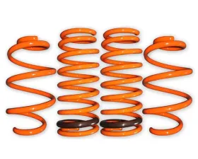 ARK GT-F Lowering Springs Hyundai Sonata ALL 2011-2013