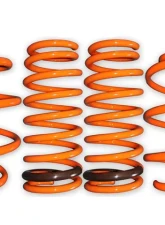 ARK GT-F Lowering Springs Hyundai Sonata ALL 2011-2013                                     - LF0704-0010 - Image 5