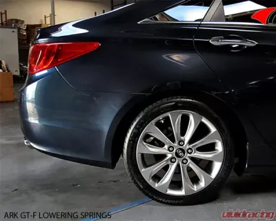 ARK GT-F Lowering Springs Hyundai Sonata ALL 2011-2013 - LF0704-0010