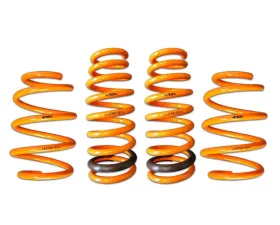 ARK GT-F Lowering Springs Hyundai Sonata 2015-2016
