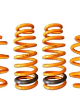ARK GT-F Lowering Springs Hyundai Sonata 2015-2016                                     - LF0704-0014 - Image 3