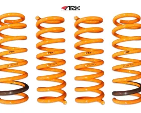 ARK GT-F Lowering Springs Hyundai Genesis 2015-2019
