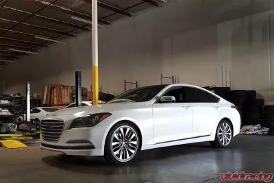 ARK GT-F Lowering Springs Hyundai Genesis 2015-2019 - LF0704-0915