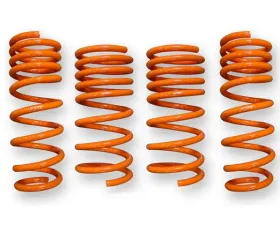 ARK GT-F Lowering Springs Nissan 370Z 2009-2014