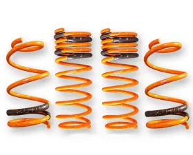 ARK GT-F Lowering Springs Mitsubishi Evolution X 2008-2013