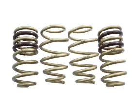 ARK GT-S Lowering Springs Chevrolet Camaro LS3 | L99 | LLT 2010-2014