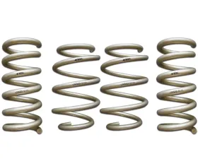 ARK GT-S Lowering Springs Ford Mustang 2015-2022