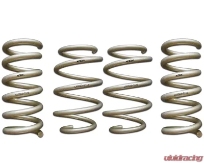 ARK GT-S Lowering Springs Ford Mustang 2015-2022 - LS0503-0115