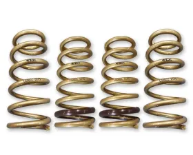ARK GT-S Lowering Springs Honda S2000 2000-2009