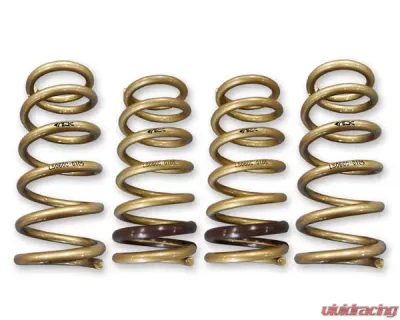 ARK GT-S Lowering Springs Honda S2000 2000-2009 - LS0600-0105